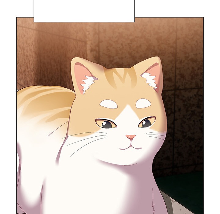 猫猫牵红线第1話