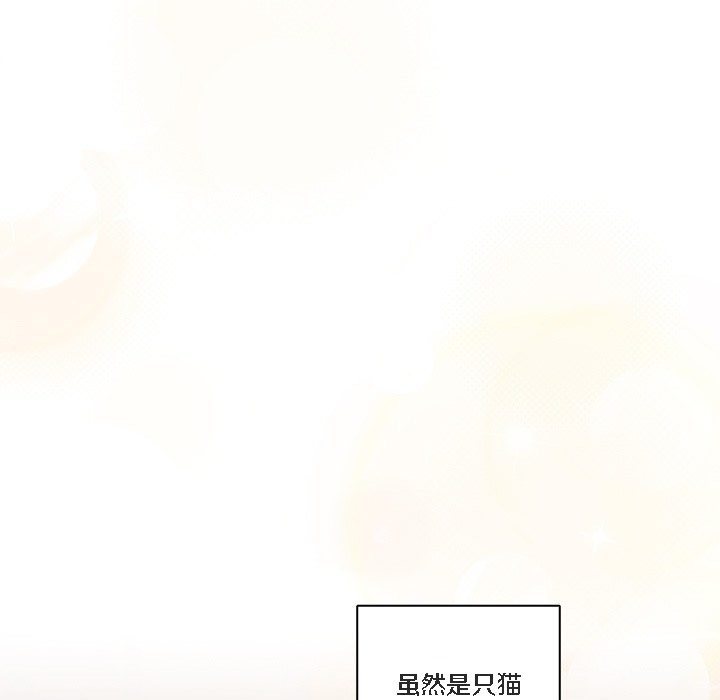 猫猫牵红线第1話