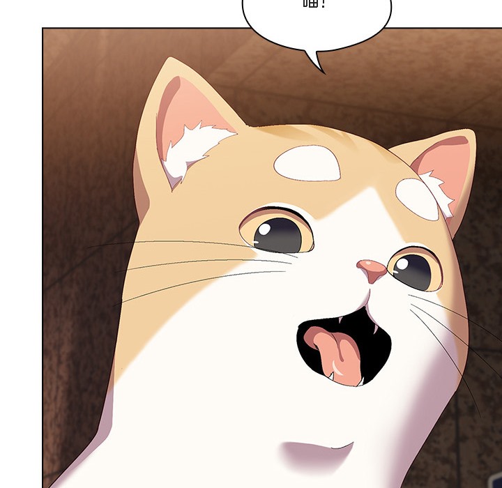 猫猫牵红线第1話