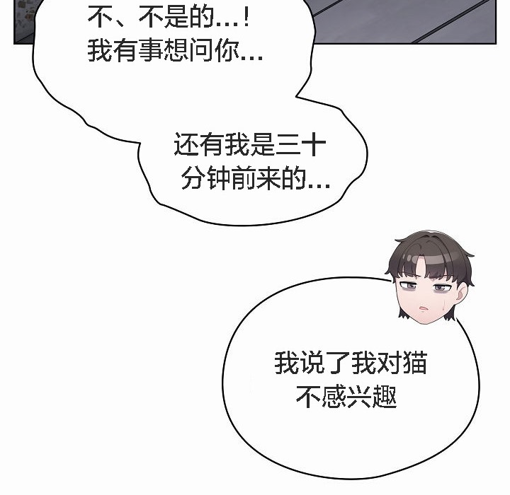 猫猫牵红线第2话