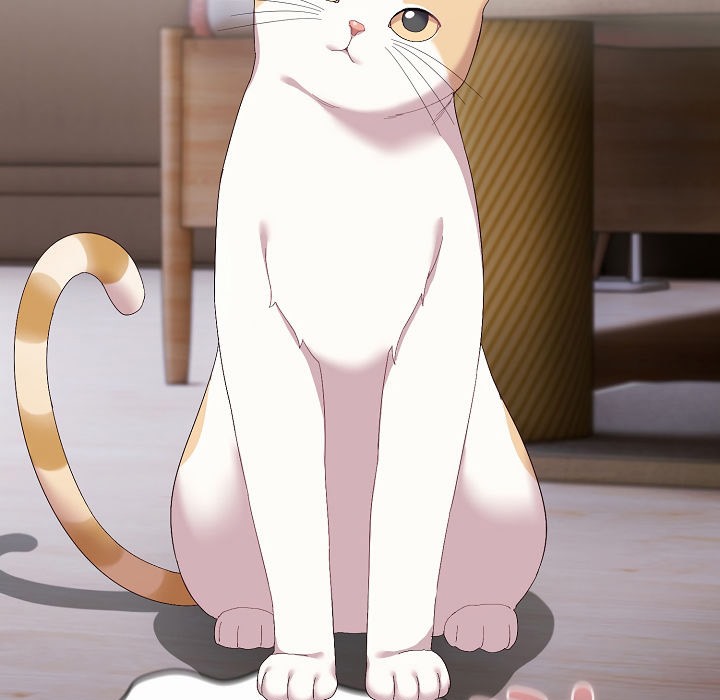 猫猫牵红线第2話
