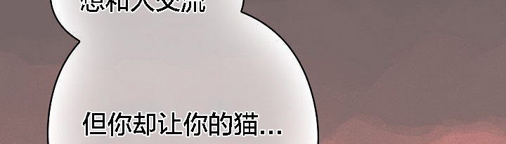猫猫牵红线第3話