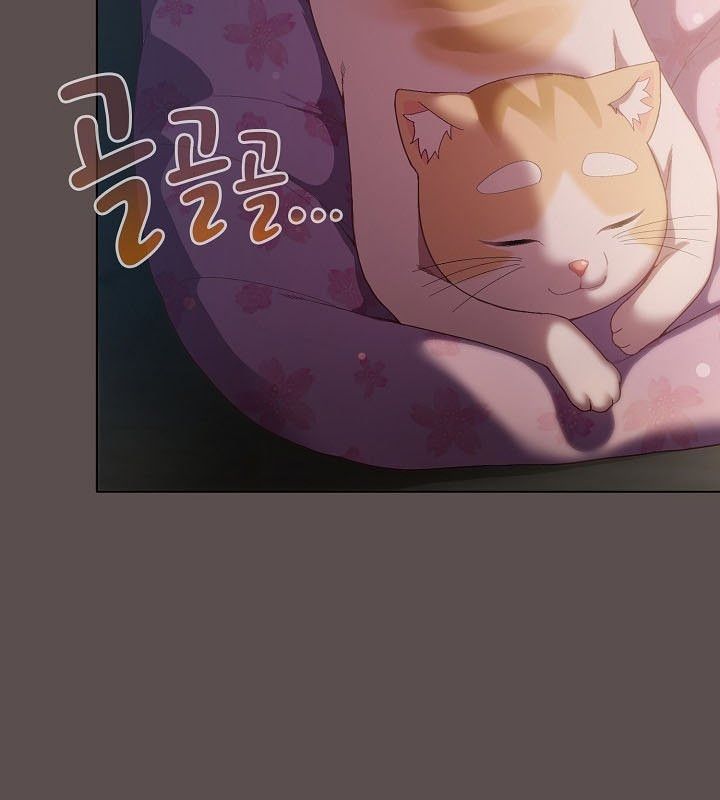 猫猫牵红线第9話