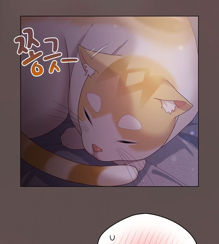 猫猫牵红线第10話