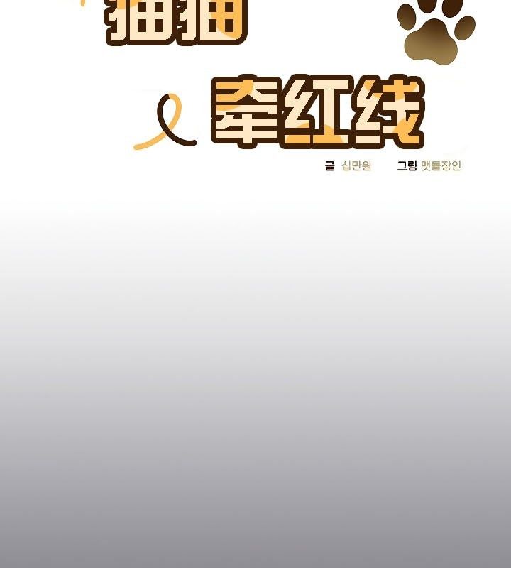 猫猫牵红线第11话