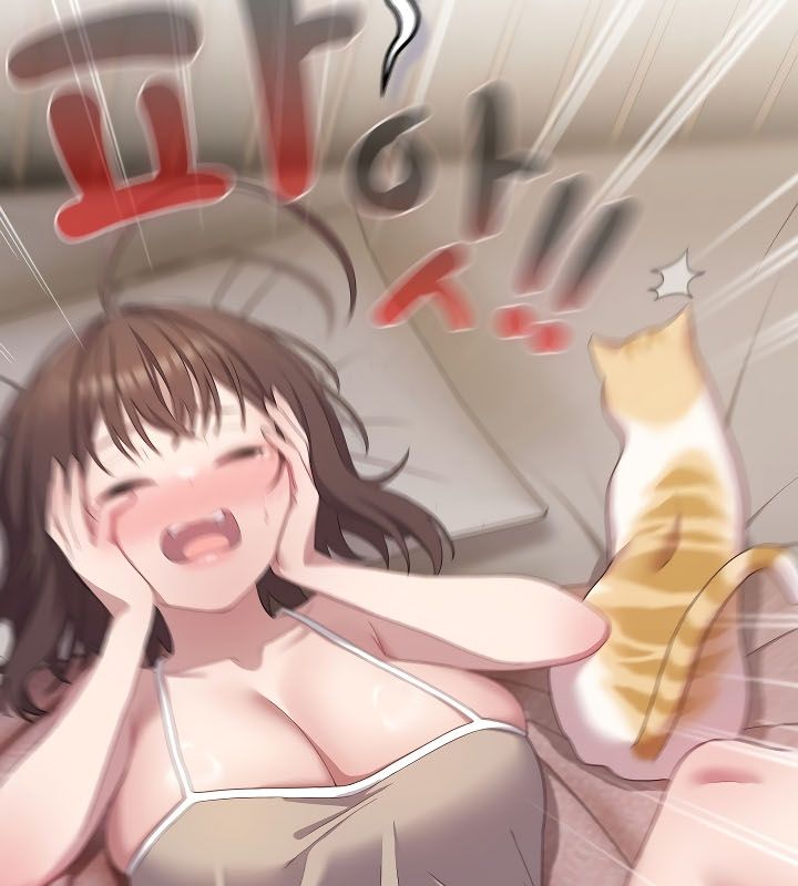 猫猫牵红线第11話