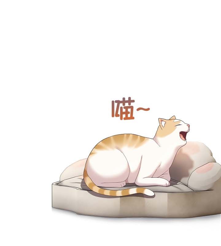 猫猫牵红线第11話