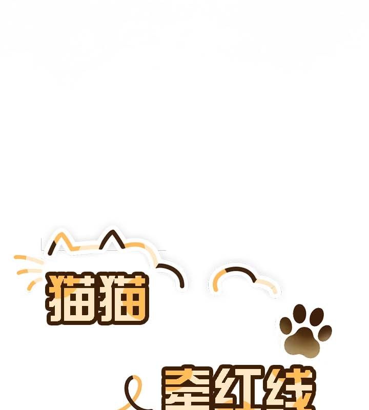 貓貓牽紅線第12話