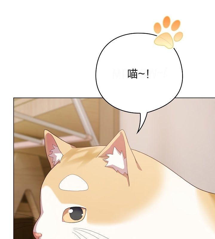 貓貓牽紅線第12話