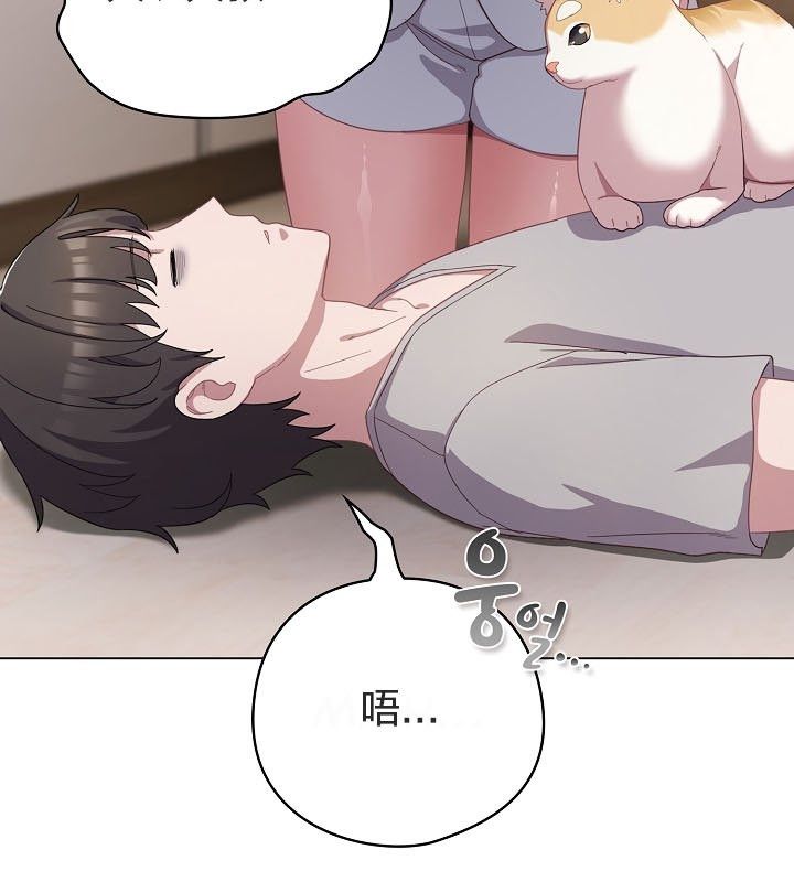 猫猫牵红线第12话