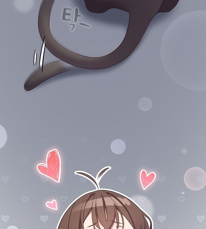 猫猫牵红线第13話