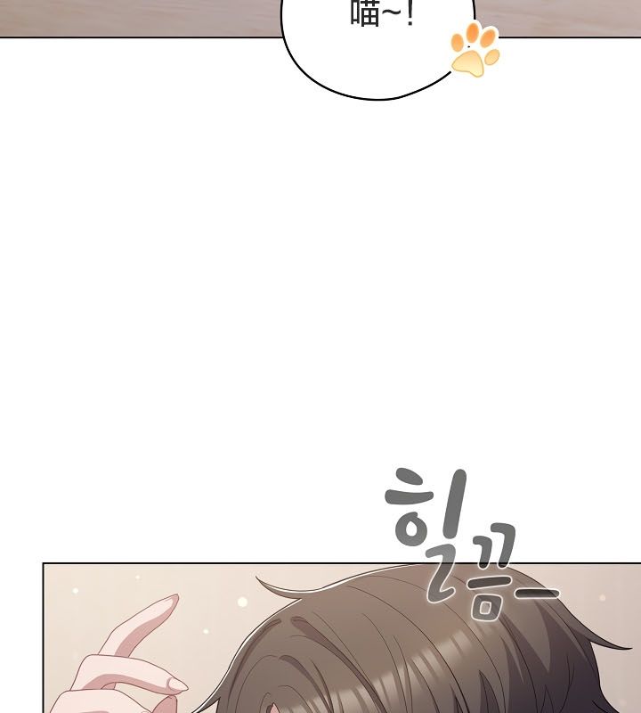 猫猫牵红线第13話