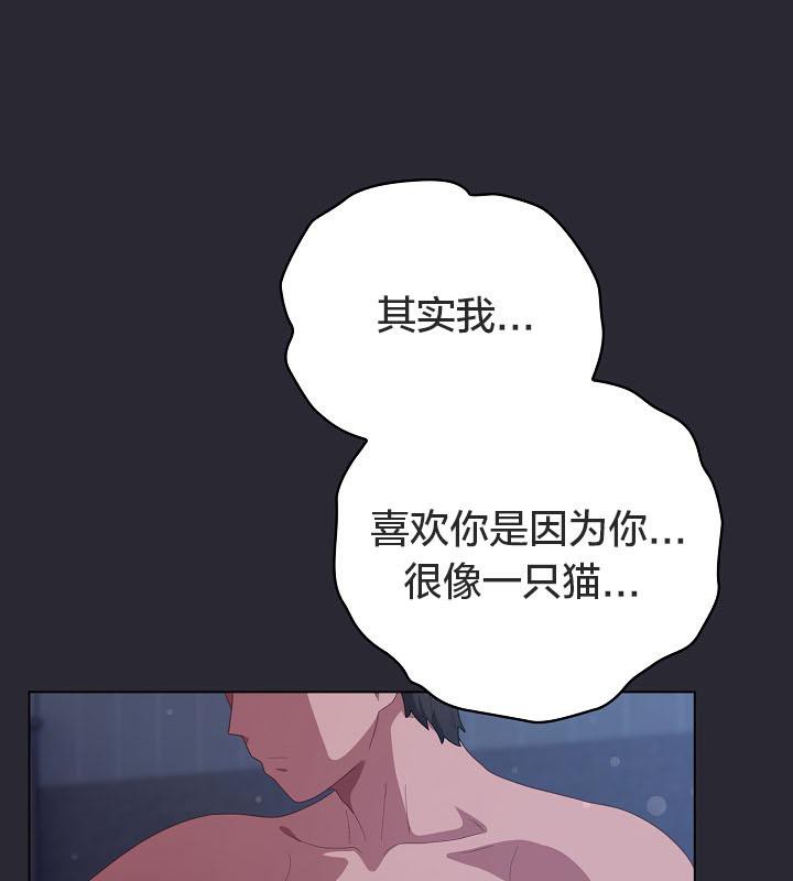 猫猫牵红线第17話