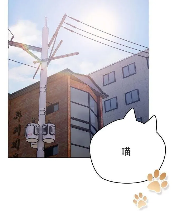 貓貓牽紅線第18話