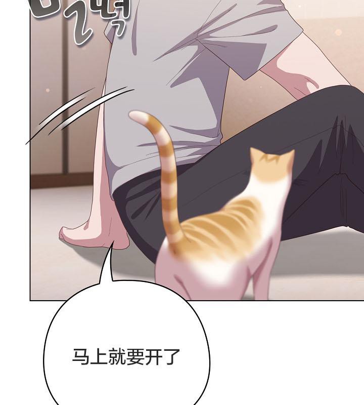 猫猫牵红线第18話