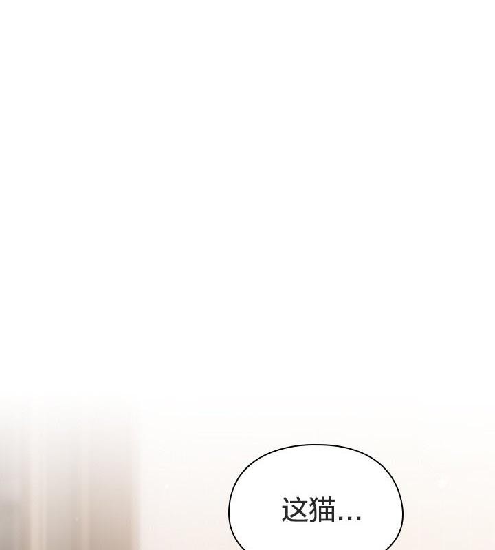 貓貓牽紅線第24話