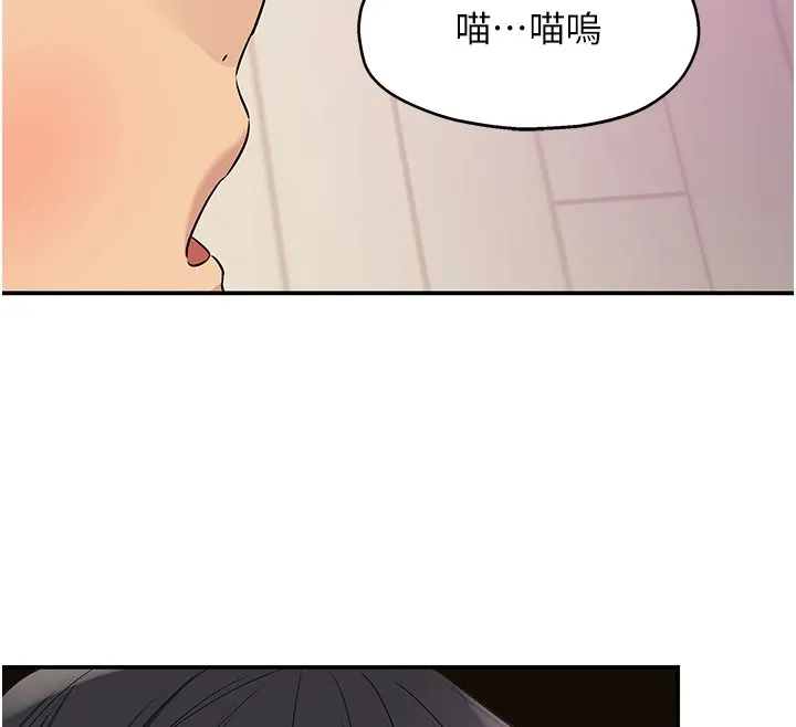洞洞雜貨店第115話-性感小野貓登門報答