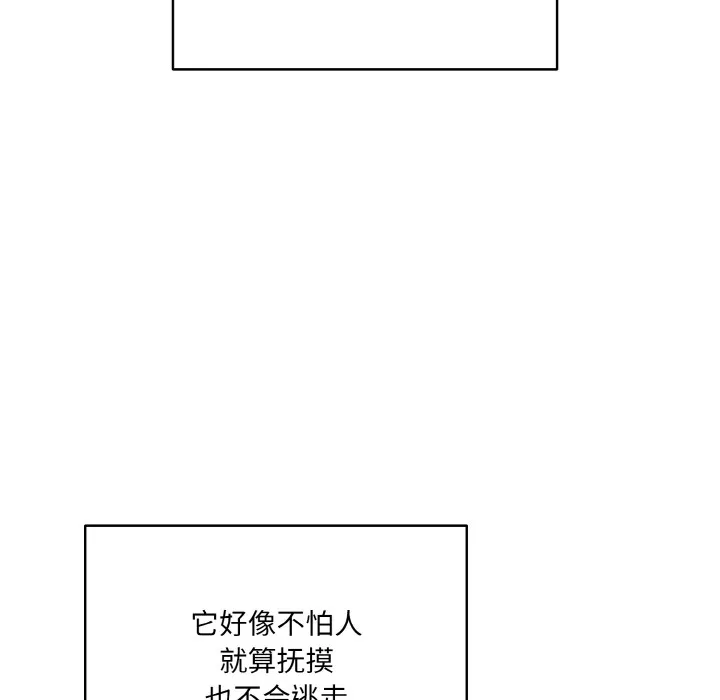 喵來的戀愛第1話