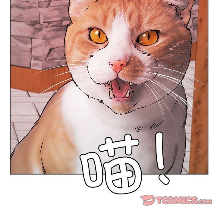 屋檐下的光第72話