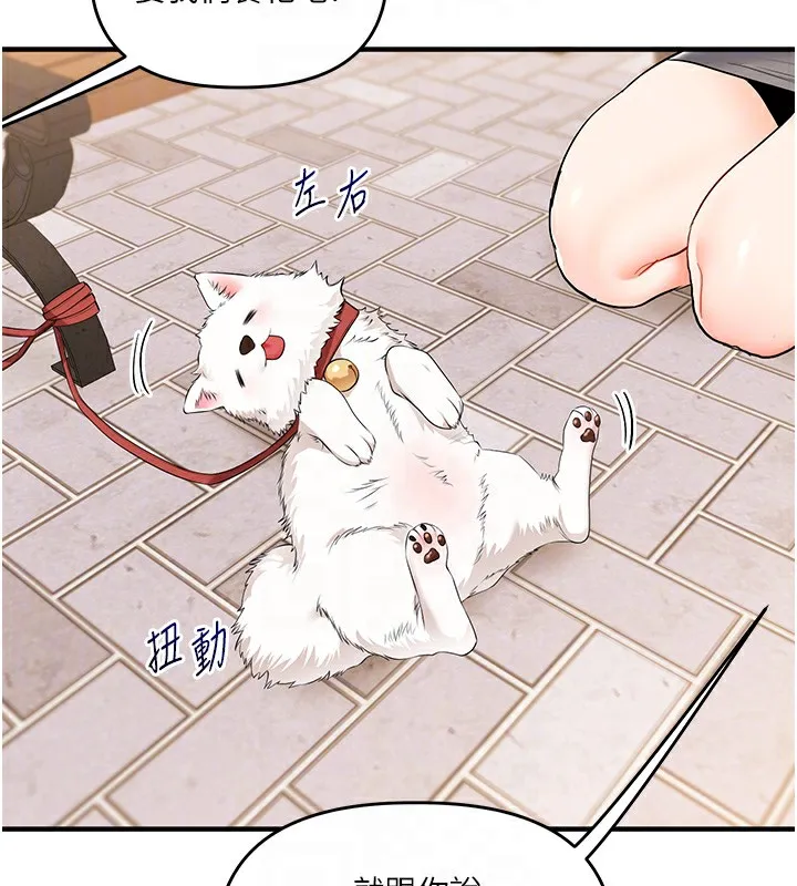 玩轉學姊第72話-天降的黃色邀請函