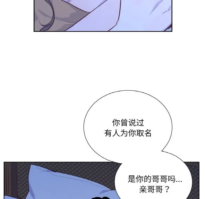 吉賽兒之血第17話