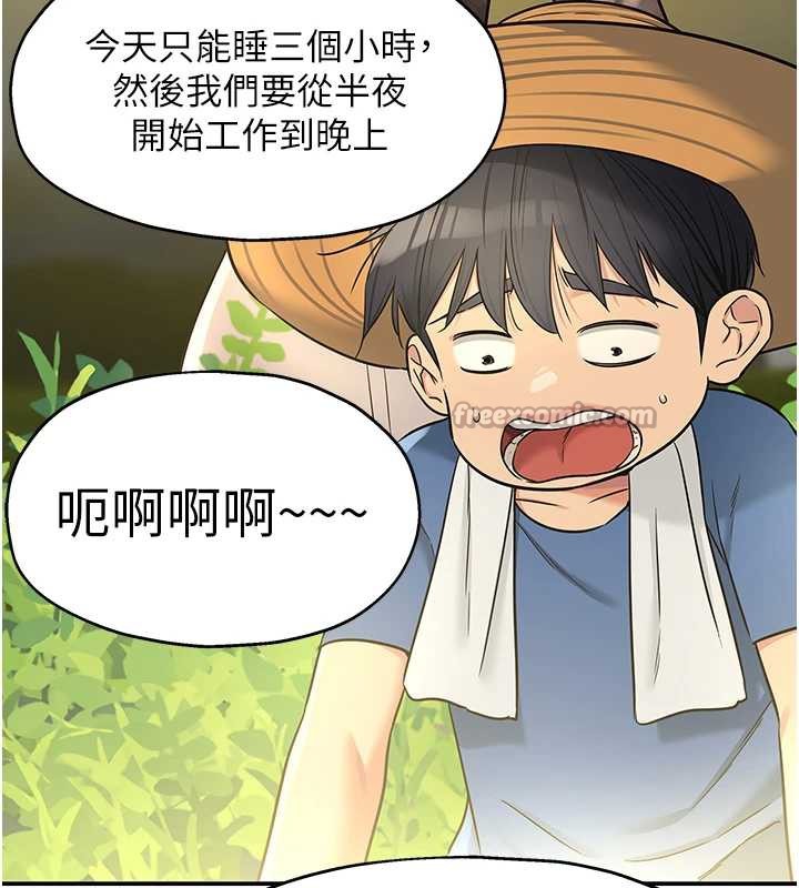 洞洞杂货店外傳第1話-洞洞雜貨店重啟?!