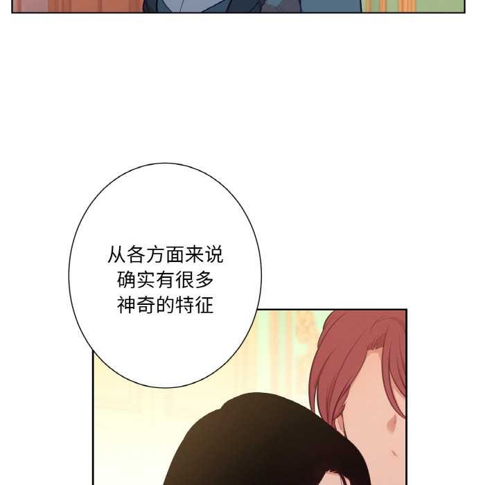 吉赛儿之血第23話