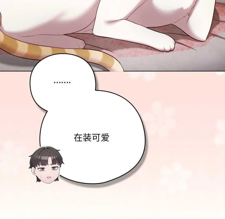 喵來的戀愛第46話