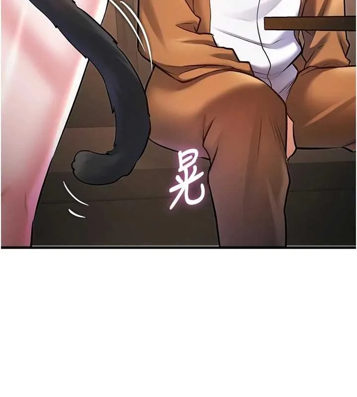 特色新視界第17話-馴服野貓守則