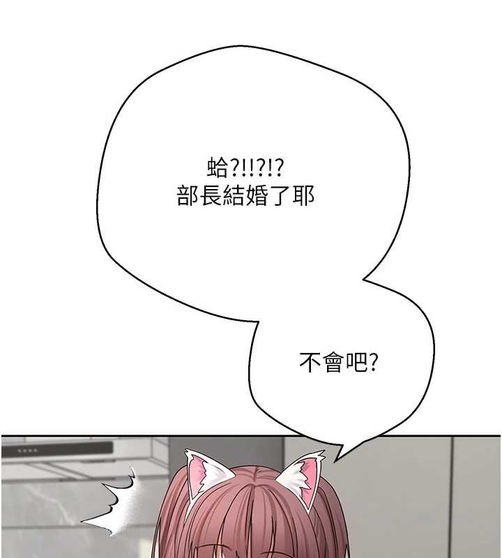 币转人生第54話-三隻淫亂的母貓
