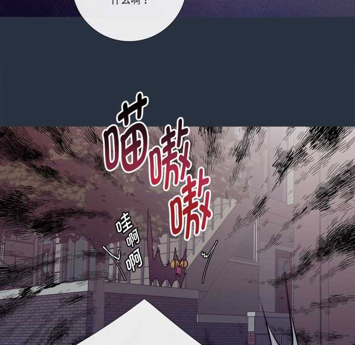 这都什么事儿啊?第28話