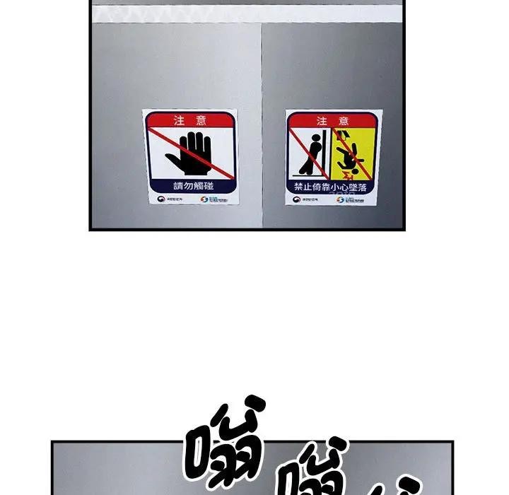 贵妇的专属保镳第43話
