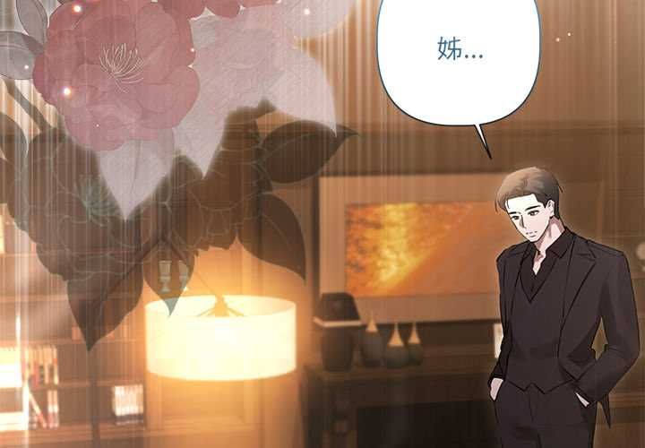 契约的代价第29話