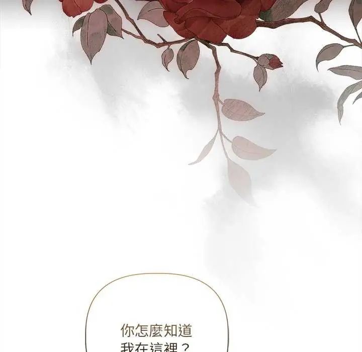 契约的代价第32話
