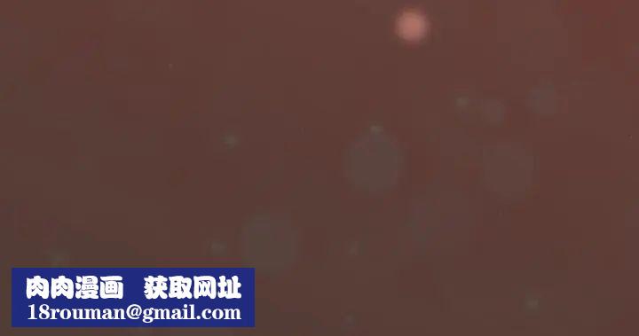 下班后的例行恋爱第114話