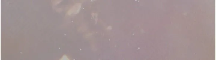 偽純愛變態第17話-喚醒沉睡的野獸